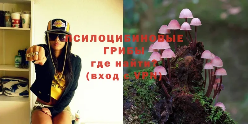 сколько стоит  Воткинск  Галлюциногенные грибы Psilocybe 